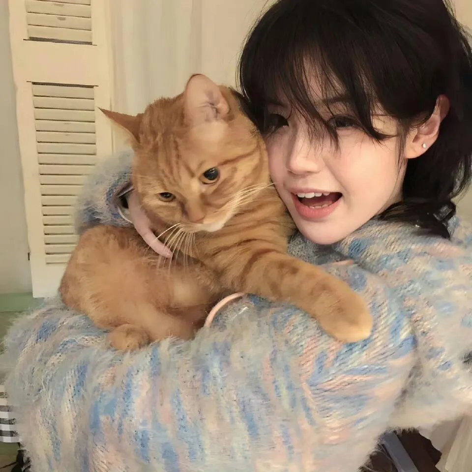 小哥斯拉的逆袭